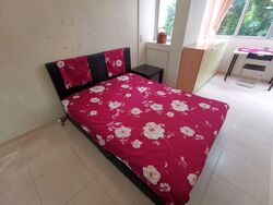 Pine Grove (D21), Condominium #556280731
